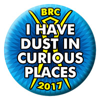 2017 - I HAVE DUST IN CURIOUS PLACES