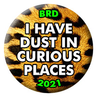2021 - I HAVE DUST IN CURIOUS PLACES